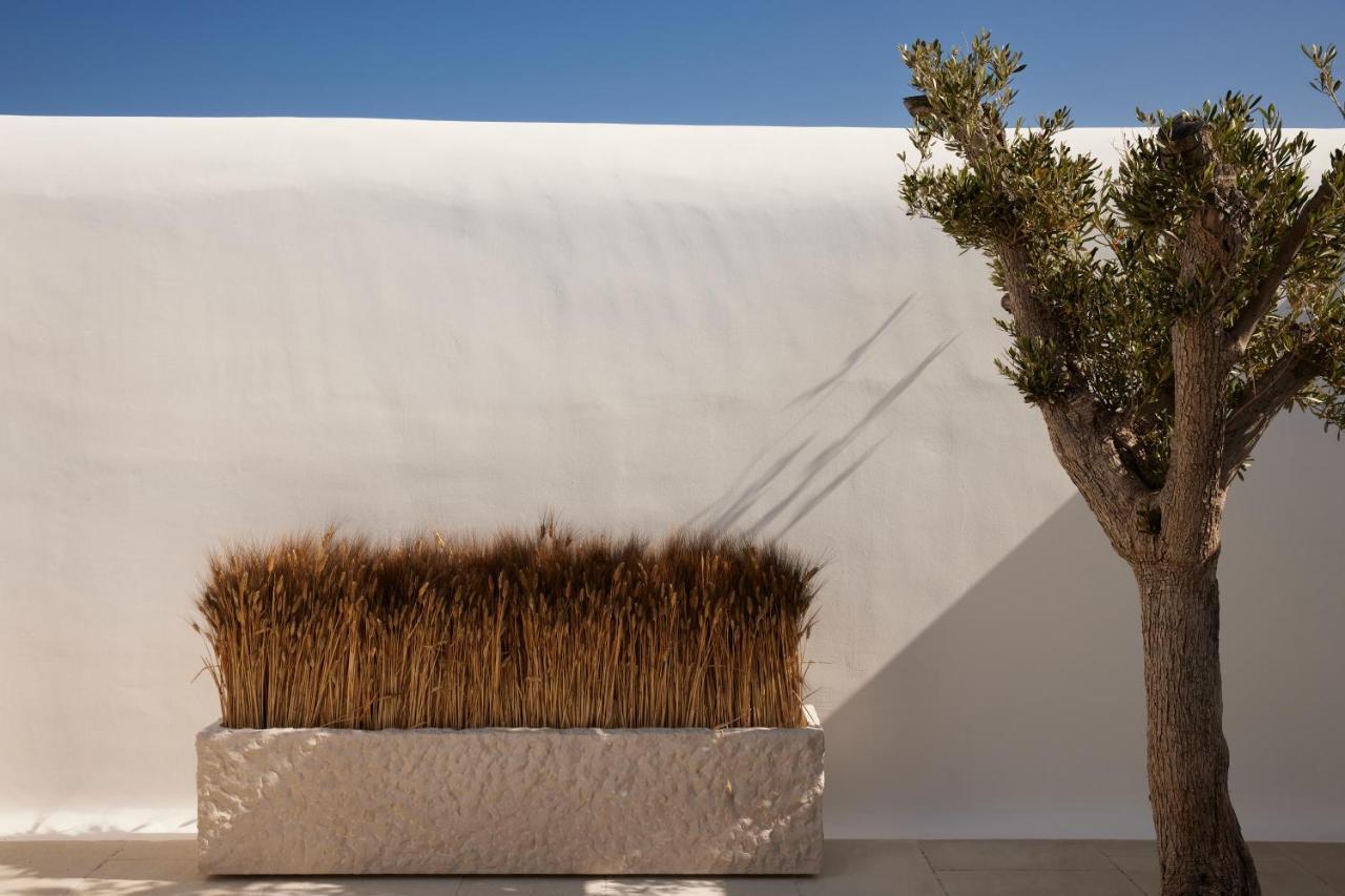 Kalesma Mykonos Otel Ornos  Dış mekan fotoğraf